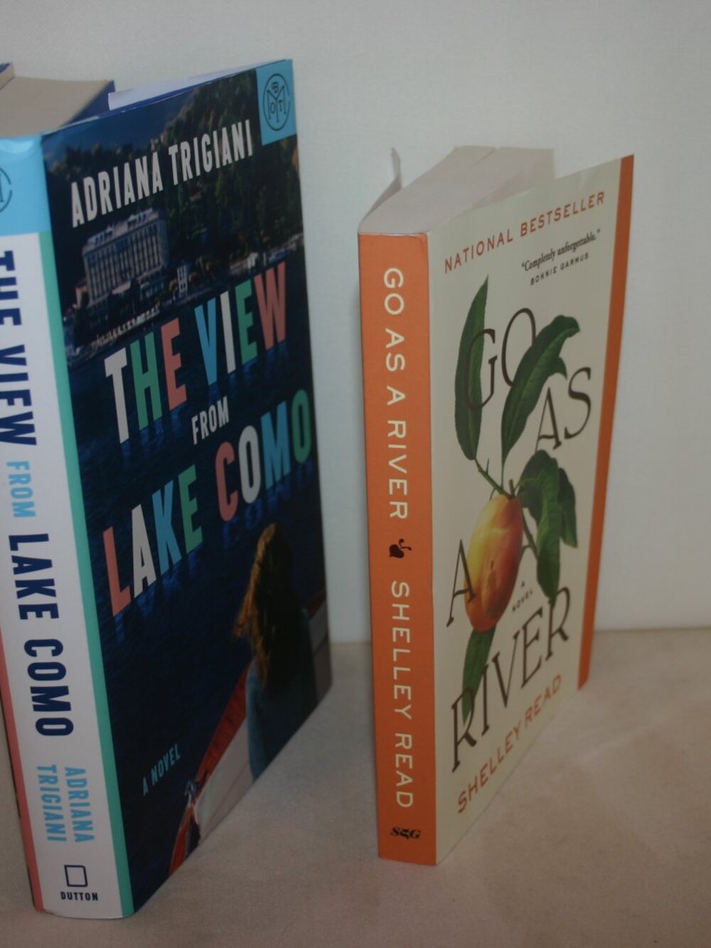 A pair of Fictional Novels Hardback and Paperback B-272